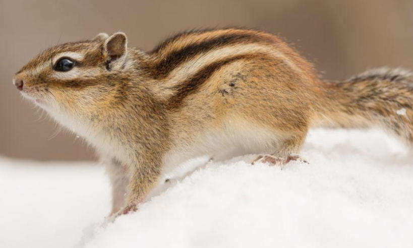 河南乐洋电子科技有限公司轮播图3