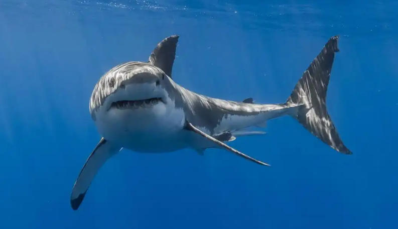 河南乐洋电子科技有限公司轮播图1