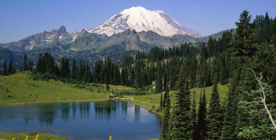 河南乐洋电子科技有限公司轮播图3